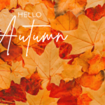 Why Autumn is the Perfect Time to Consider Residential Park Home Life
