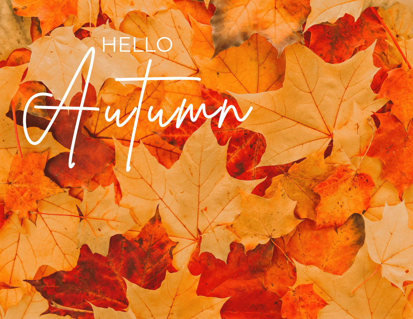 Hello Autumn